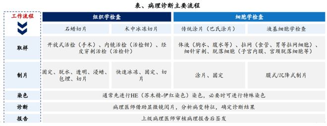 万亿AI医疗核心风口:AI辅助诊断 60家企业深度布局一文汇总!(图7)