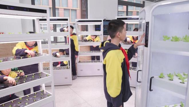 AI教育 局长说|杨浦区教育局局长王芳:高校智汇AI融合共创学习新生态(图6)