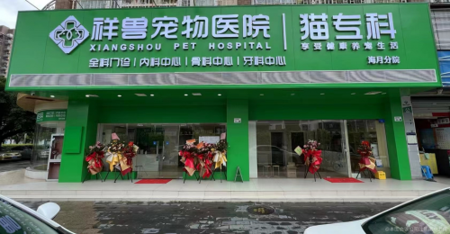 深圳宠物耳鼻喉医疗机构推荐:科学诊疗与温暖守护的平衡之选(图1)
