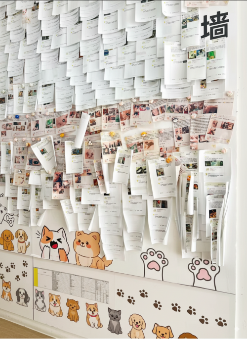 深圳宠物耳鼻喉医疗机构推荐:科学诊疗与温暖守护的平衡之选(图2)