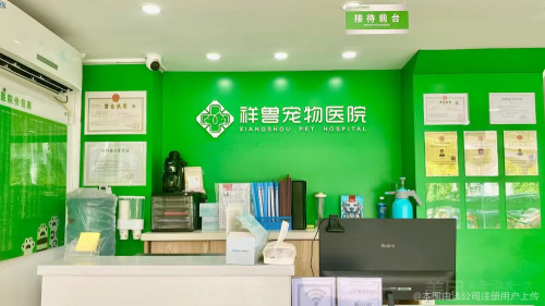 深圳宠物耳鼻喉医疗机构推荐:科学诊疗与温暖守护的平衡之选(图4)