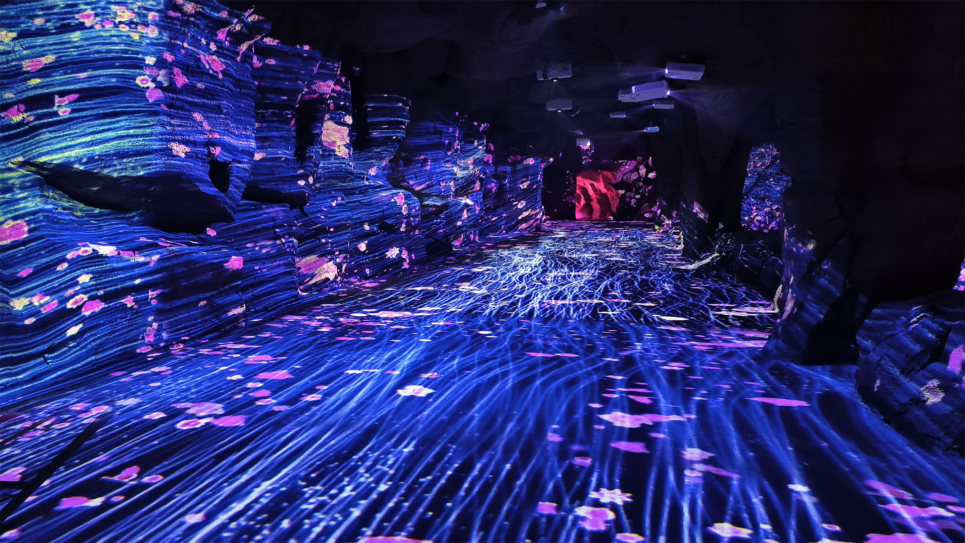 2026年春节假日第二天全省文化和旅游市场情况